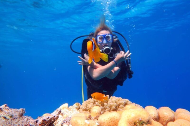 Hurghada: Scuba Diving cruise with lunch & pickup - Practical Tips for a Smooth Experience