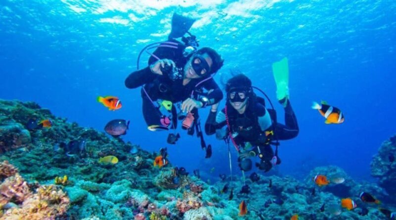 Hurghada: Scuba Diving cruise with lunch & pickup - FAQ