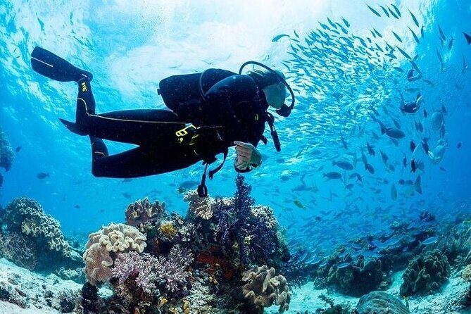 Hurghada Scuba Diving Full Day Boat Trip for beginners With Lunch & Transfer - Hurghada Scuba Diving Full Day Boat Trip for Beginners With Lunch & Transfer
