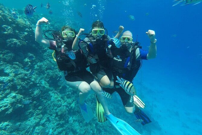 Hurghada Scuba Diving Full Day Boat Trip for beginners With Lunch & Transfer - FAQs