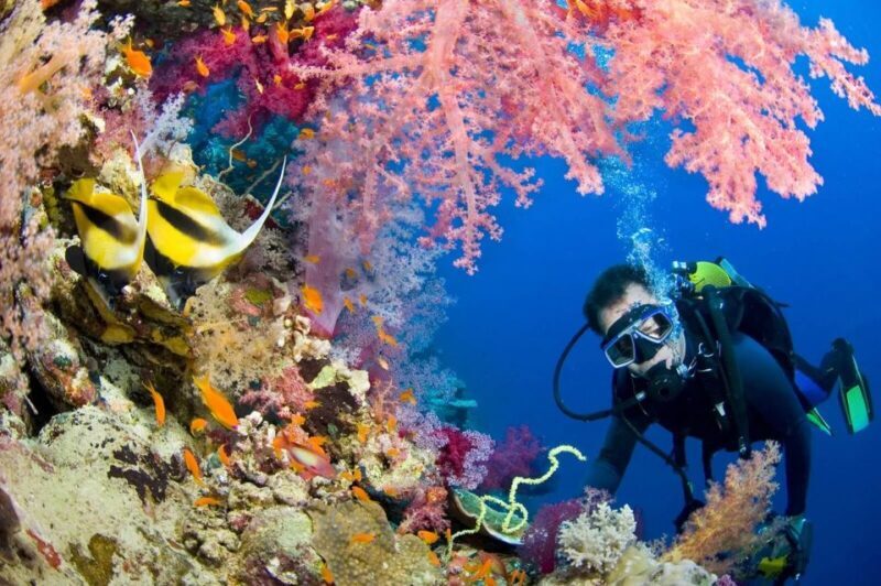 Hurghada Scuba Diving Trip with Pick-up, Lunch - Final Thoughts