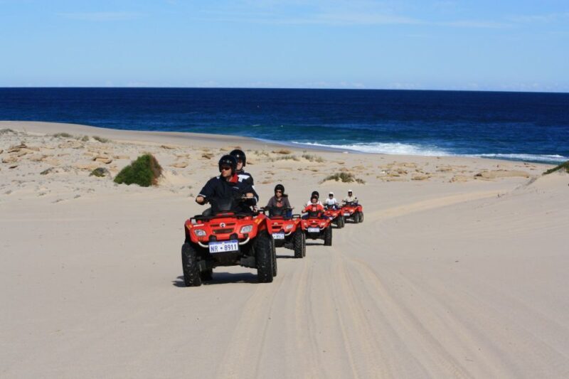 Hurghada: Sea and Mountains Quad or Buggy Family Tour - Who Will Love This Tour?