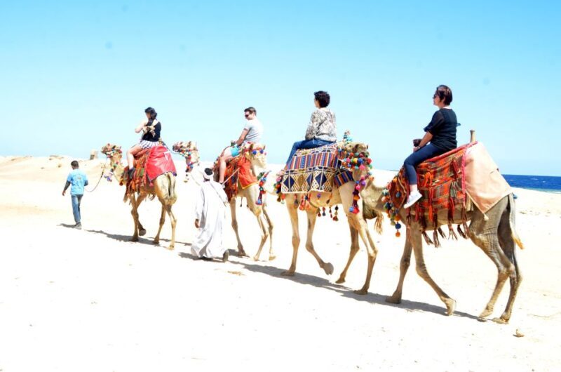 Hurghada: Sea & Desert Camel Ride w/Dinner, Show, Stargazing - What is the Camel Ride Experience in Hurghada?  