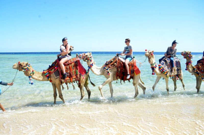 Hurghada: Sea & Desert Camel Ride w/Dinner, Show, Stargazing - Transportation and Flexibility  