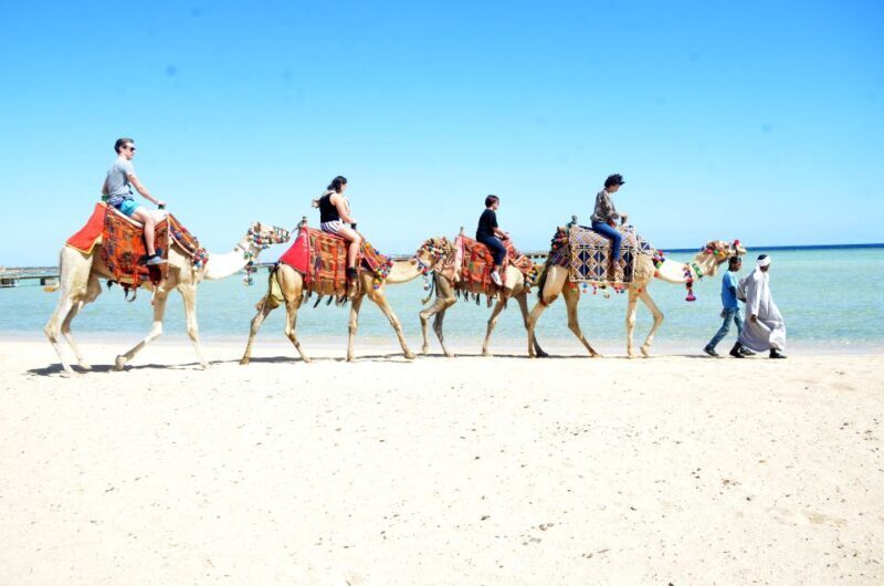 Hurghada: Sea & Desert Camel Ride w/Dinner, Show, Stargazing - Whats Included and Whats Not  