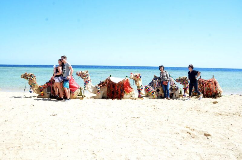 Hurghada: Sea & Desert Camel Ride w/Dinner, Show, Stargazing - The Real Experience: What Travelers Say  