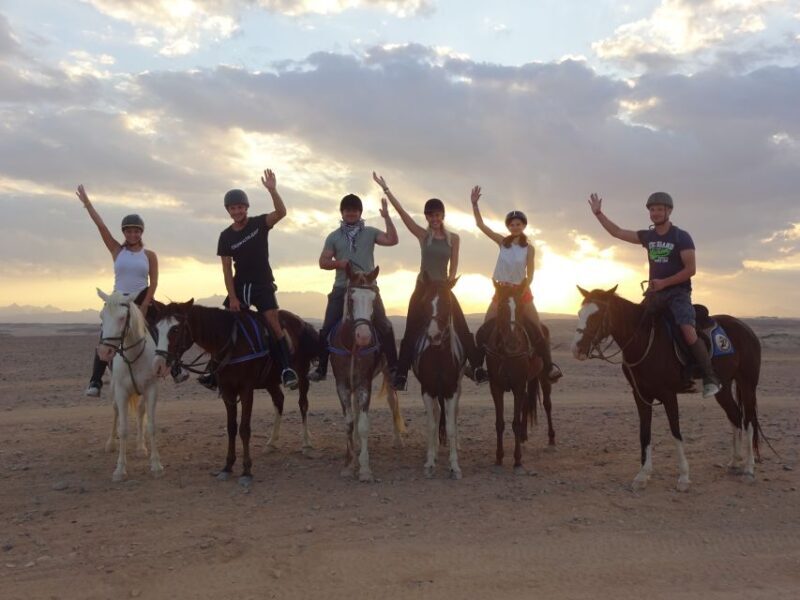 Hurghada: Sea & Desert Horse Tour, Stargazing, Dinner & Show - Practical Tips for a Great Experience