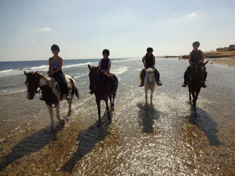 Hurghada: Sea & Desert Horse Tour, Stargazing, Dinner & Show - FAQ