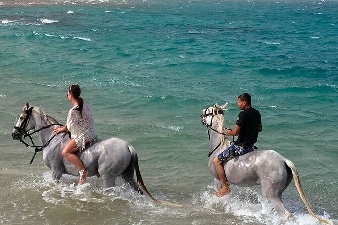 Hurghada: Sea & Desert Horseback Riding, Stargazing, Dinner, Show - Who Should Consider This Tour?