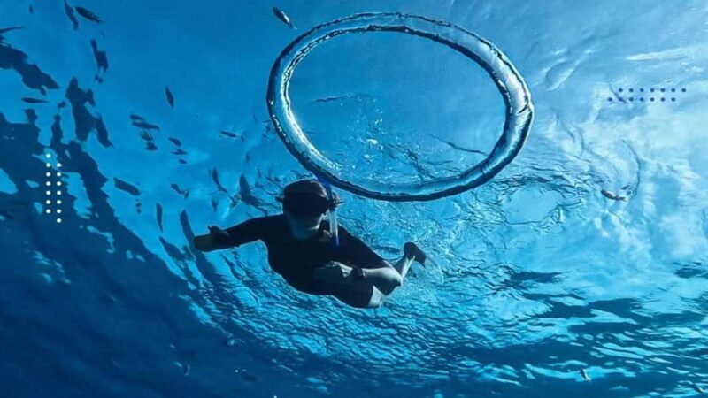 Hurghada: Snorkeling 6 x 1 to Orange Bay w Diving & Massage - Who Will Love This Tour?