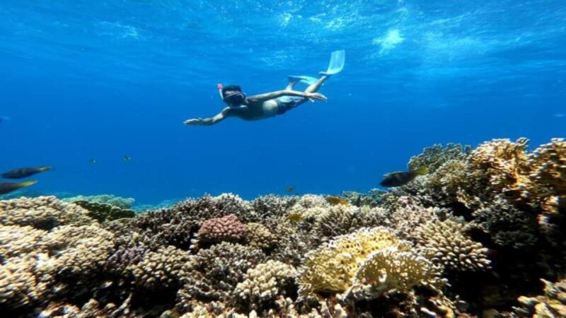 Hurghada: Snorkeling 6 x 1 to Orange Bay w Diving & Massage - Frequently Asked Questions