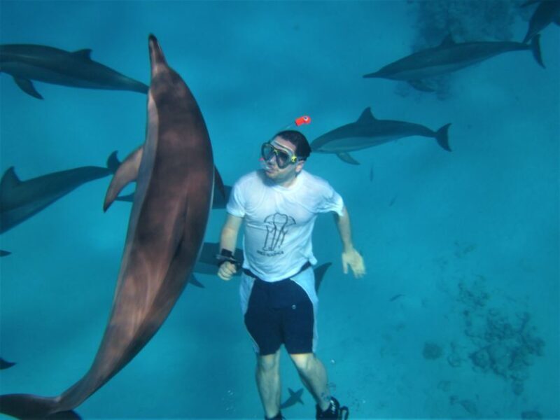 Hurghada: Speedboat Dolphin Watching & Snorkeling with Lunch - A Detailed Look at the Tour Experience