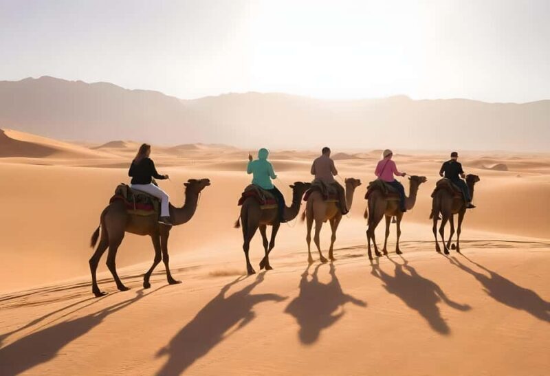 Hurghada: Star Watching Desert Adventure by Jeep with Dinner - Practical Tips for Tour Day