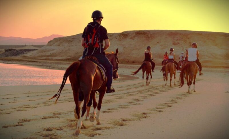 Hurghada: Sunset Sea, Desert Horse W Opt, Dinner, Stargazing - What Makes This Tour Stand Out?