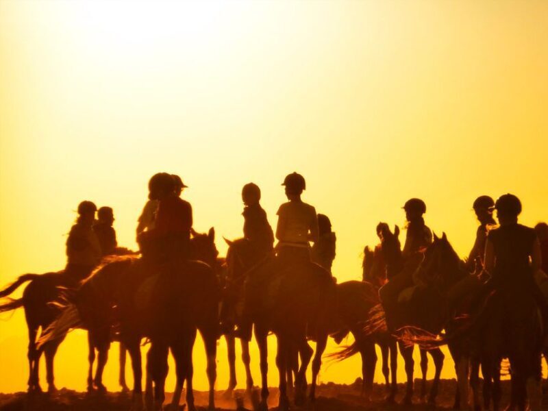 Hurghada: Sunset Sea, Desert Horse W Opt, Dinner, Stargazing - Authenticity and Customer Feedback
