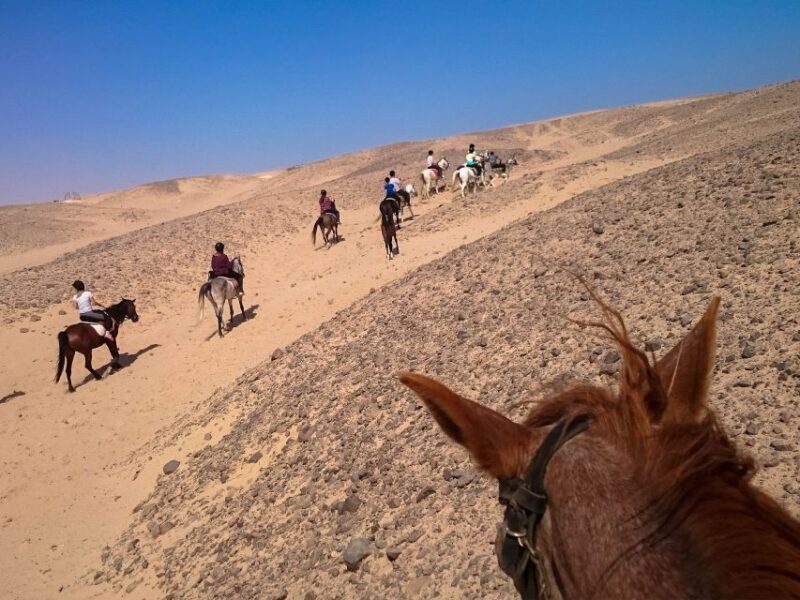 Hurghada: Sunset Sea, Desert Horse W Opt, Dinner, Stargazing - Who Will Appreciate This Tour?