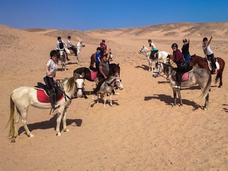 Hurghada: Sunset Sea, Desert Horse W Opt, Dinner, Stargazing - Final Thoughts