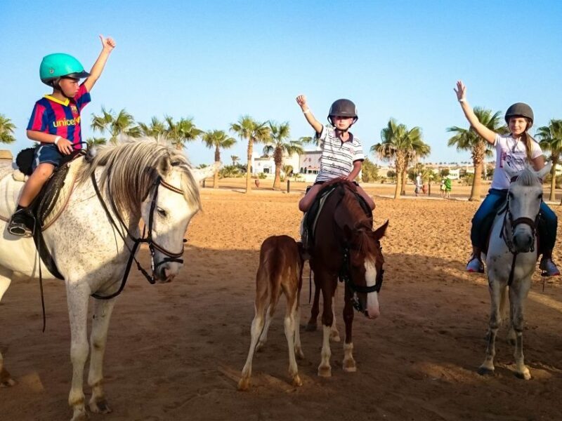 Hurghada: Sunset Sea, Desert Horse W Opt, Dinner, Stargazing - FAQ