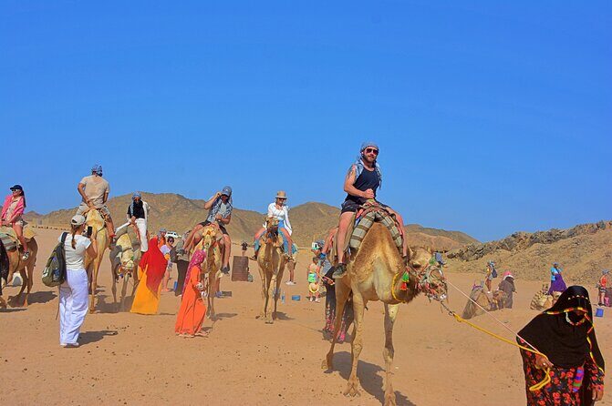 Hurghada Super Safari Quad Jeep Camel and Show with Dinner - Key Points