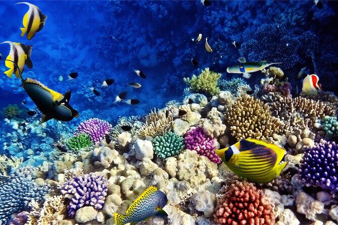 Hurghada Water Sports Adventure at Orange Bay Island - The Sum Up