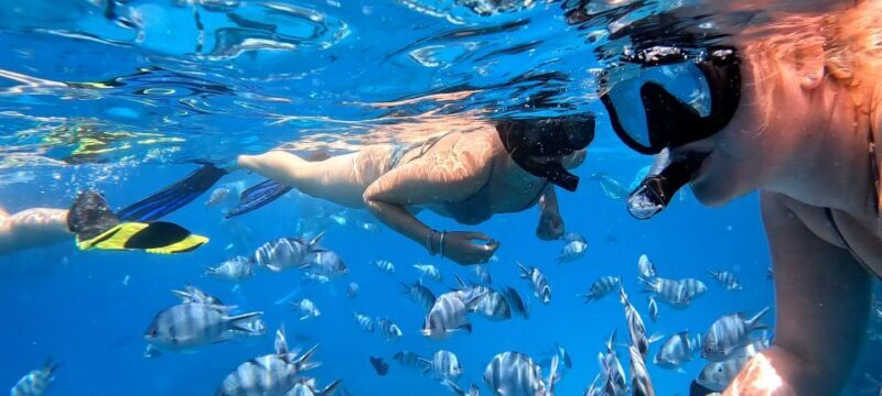 Hurghada: White Island Speedboat Tour, Snorkeling, & Lunch - Frequently Asked Questions