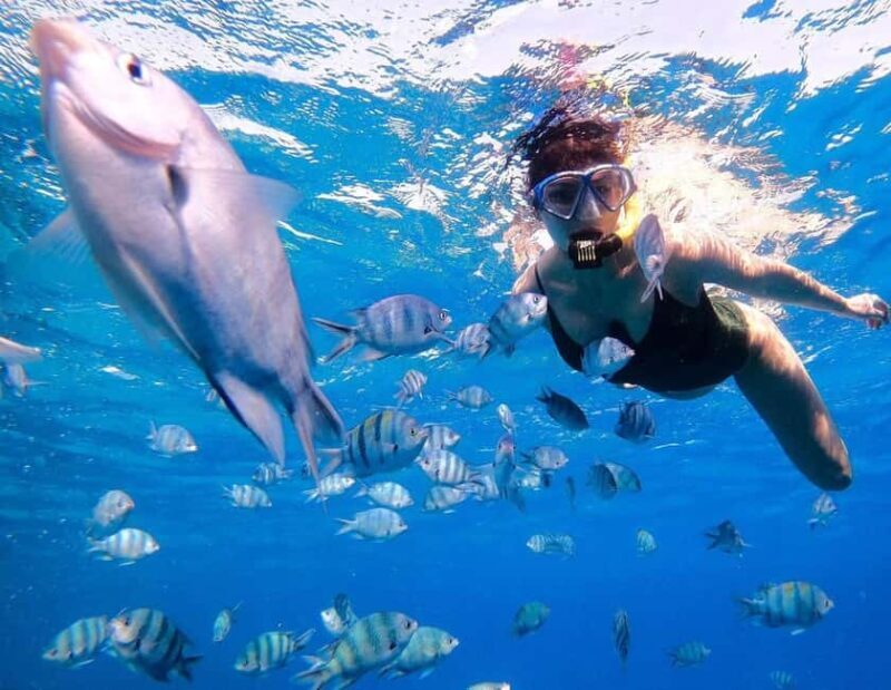 Hurghada:Eden Island Full-Day Trip with Water sports & Lunch - Water Sports and Excitement on the Sea