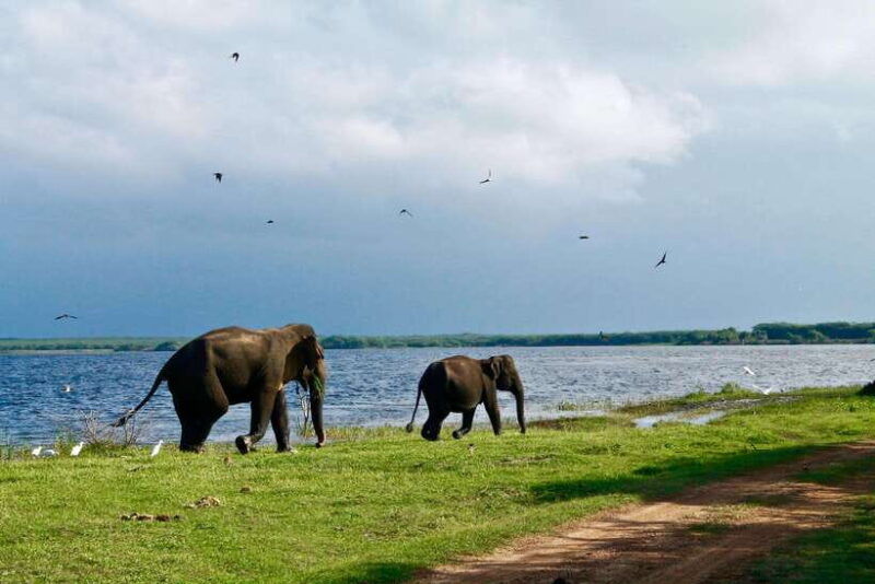 hurlu-eco-park-safari-with-jeep-entrance-ticket
