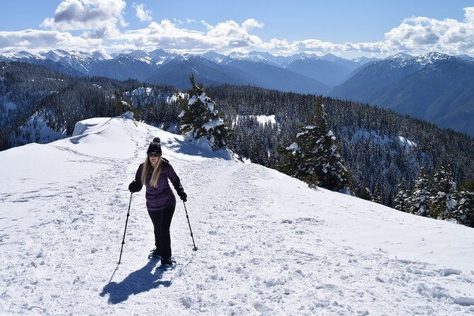 hurricane-ridge-guided-snowshoe-tour-in-olympic-national-park