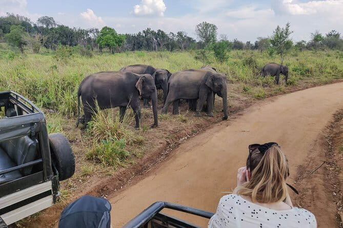 Hurulu Eco Park Private Safari with Naturalist - The Sum Up
