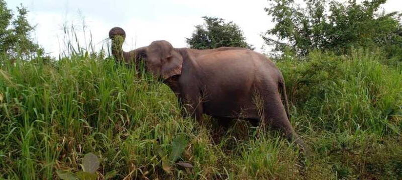 hurulu-eco-park-safari