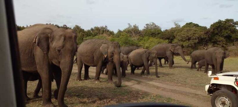 hurulu-eco-park-safari