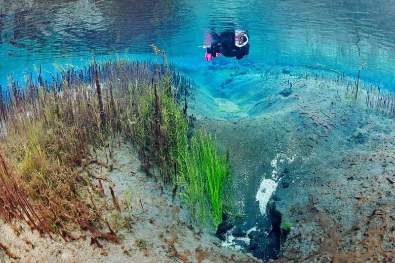 Húsavík: Bubbling Sands Snorkeling Tour - Key Points
