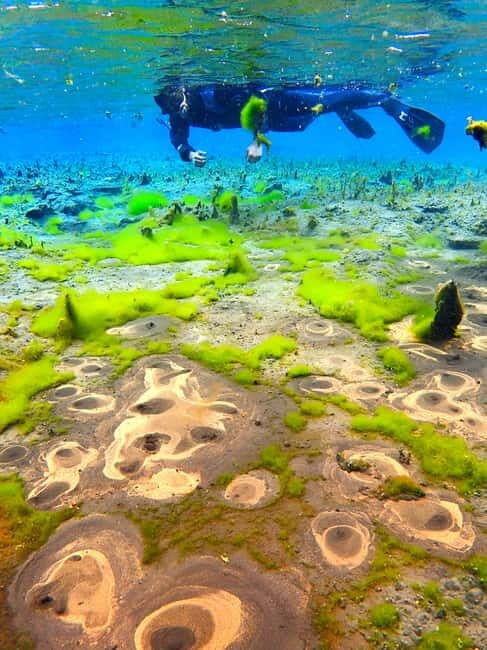 Húsavík: Bubbling Sands Snorkeling Tour - An Authentic Icelandic Adventure in Húsavík