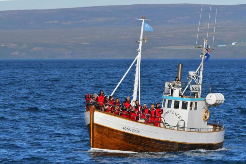 husavik-family-run-and-guided-whale-watching-tour