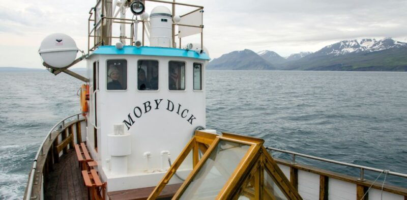 husavik-family-run-and-guided-whale-watching-tour