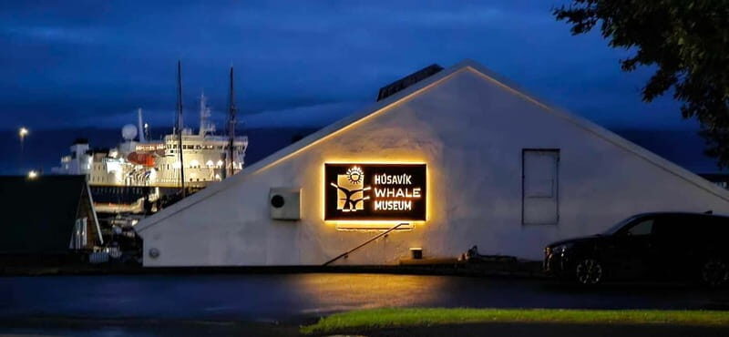 Húsavík: Whale Museum Entry Ticket - Visitor Insights and Reviews