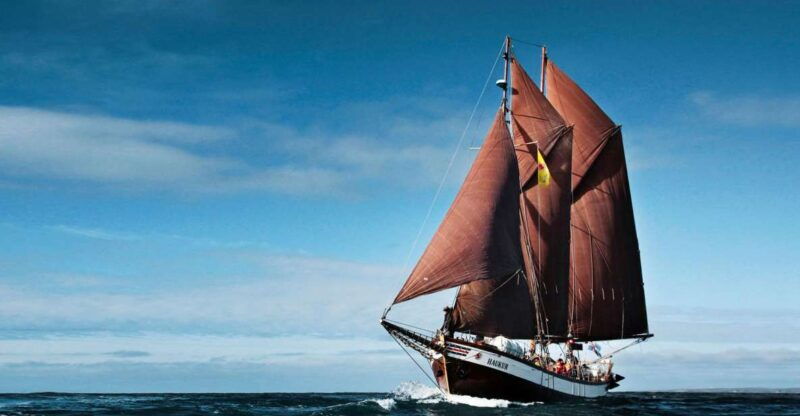 husavik-whale-watching-by-traditional-wooden-sailing-ship