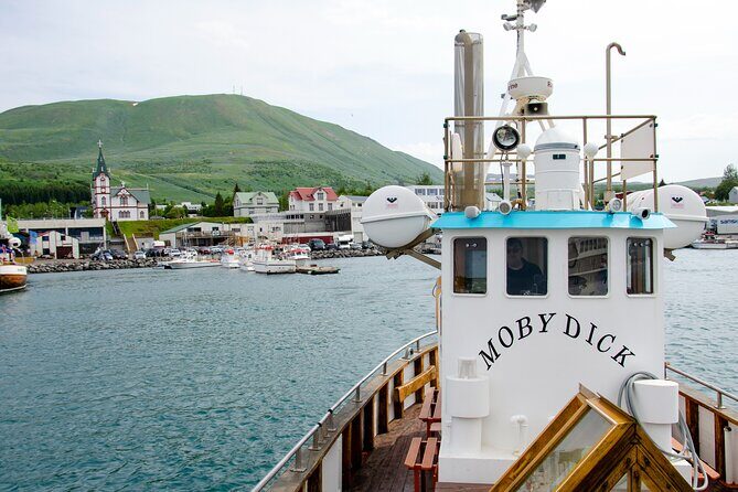 Húsavík Whale Watching Tour, family owned and operated - The Experience and What to Expect