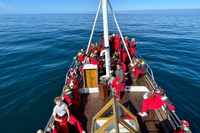 Húsavík Whale Watching Tour, family owned and operated - Who Will Love This Experience?