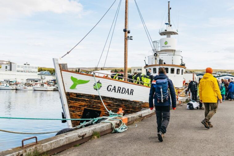 husavik-whale-watching-tour-with-guide
