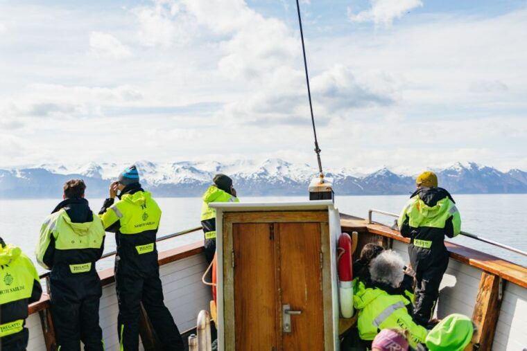 husavik-whale-watching-tour-with-guide