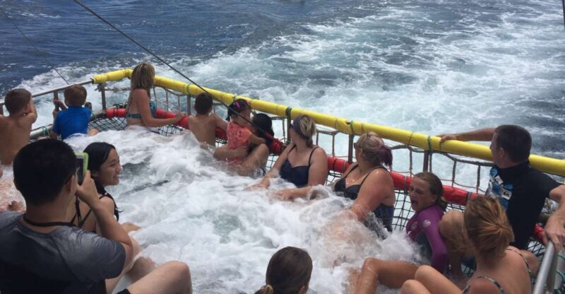 Huskisson: Dolphin Cruise & Boom Netting Experience - Huskisson: Dolphin Cruise & Boom Netting Experience – An Authentic Coastal Adventure