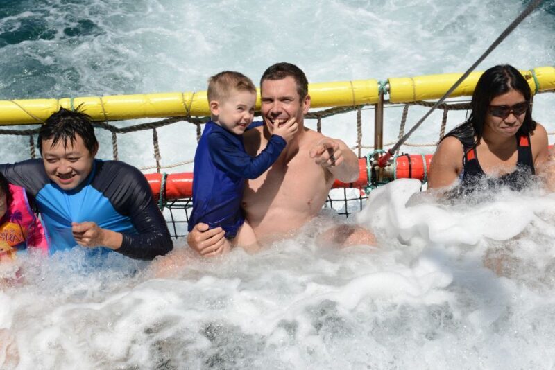 Huskisson: Dolphin Cruise & Boom Netting Experience - Authentic Experiences from Reviewers Perspectives
