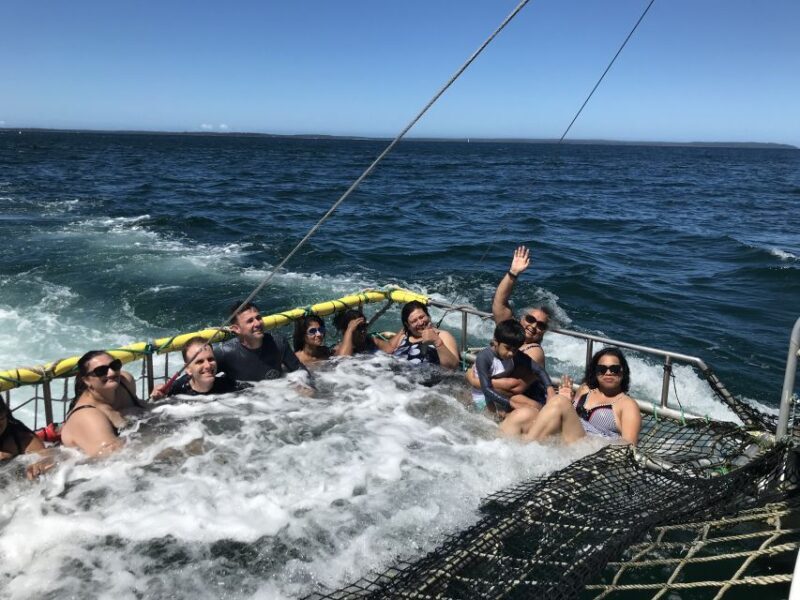 Huskisson: Dolphin Cruise & Boom Netting Experience - Who Will Enjoy This Tour?