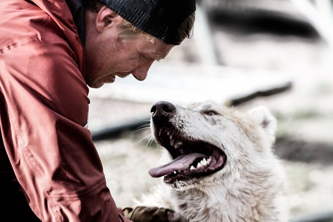 husky-cuddle-at-fjallaventyr-dog-park-admission-ticket