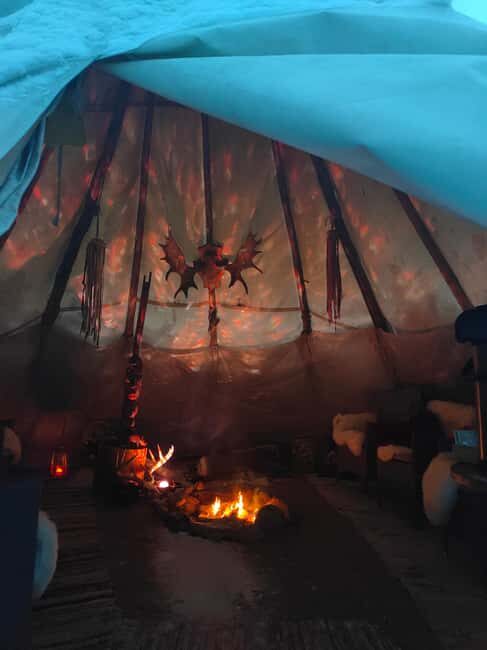Husky Farm Visit with HuskySled Ride and Campfire - What to Expect from the Husky Farm Visit with Sled Ride and Campfire