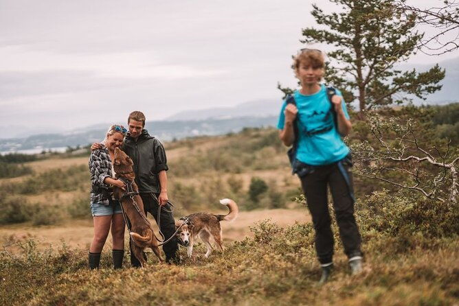 husky-hike-and-puppy-visit-with-lunch-2