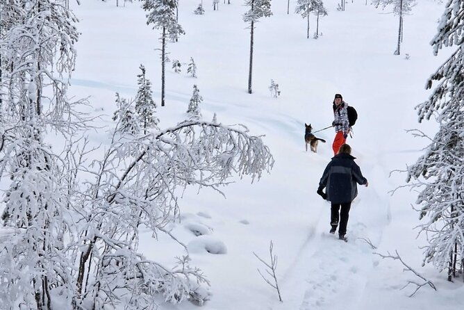 husky-hike-snowshoe-hike-with-huskies