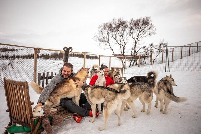 husky-petting-in-akureyri-private