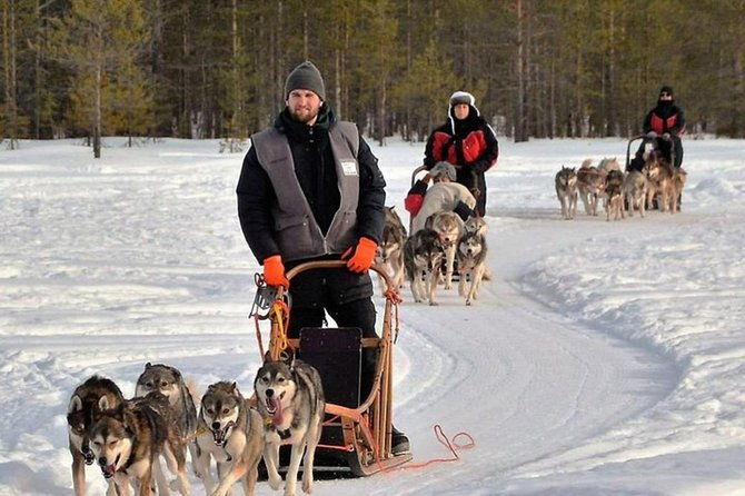 husky-safari-from-levi-2-km-or-5-km-with-husky-sledge-ride